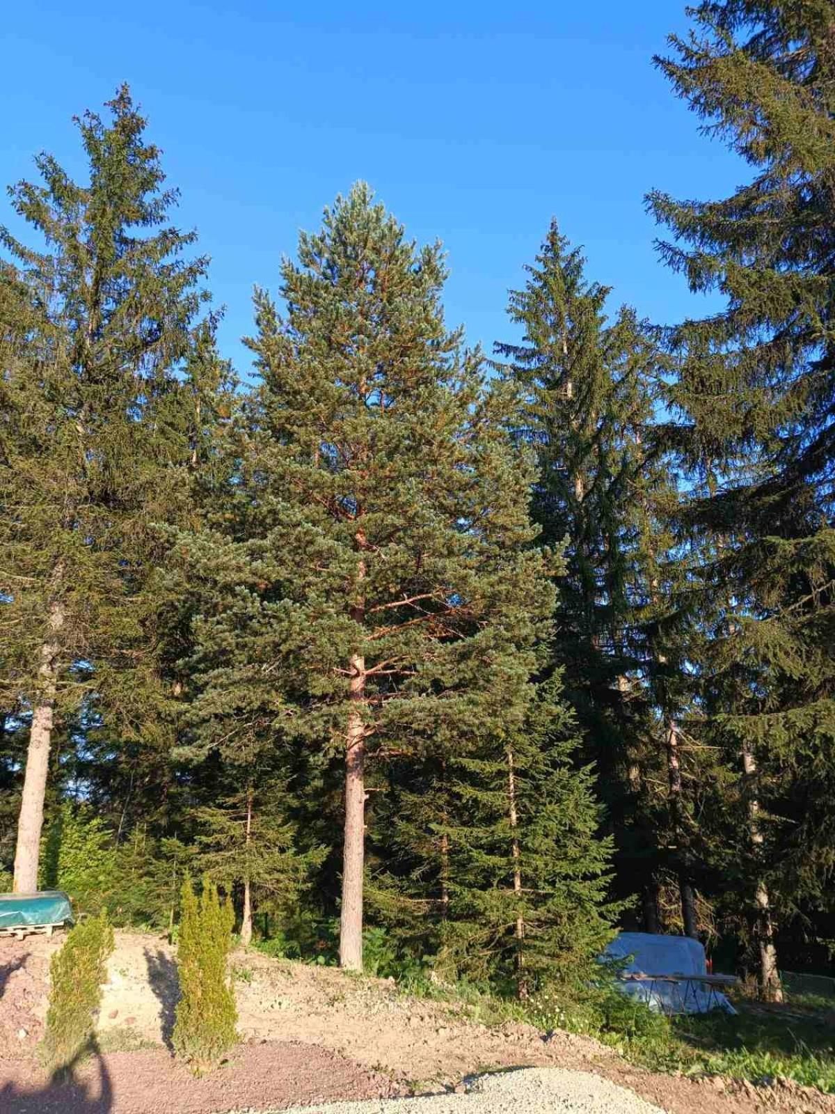 Chechar Zlatar Вилла *