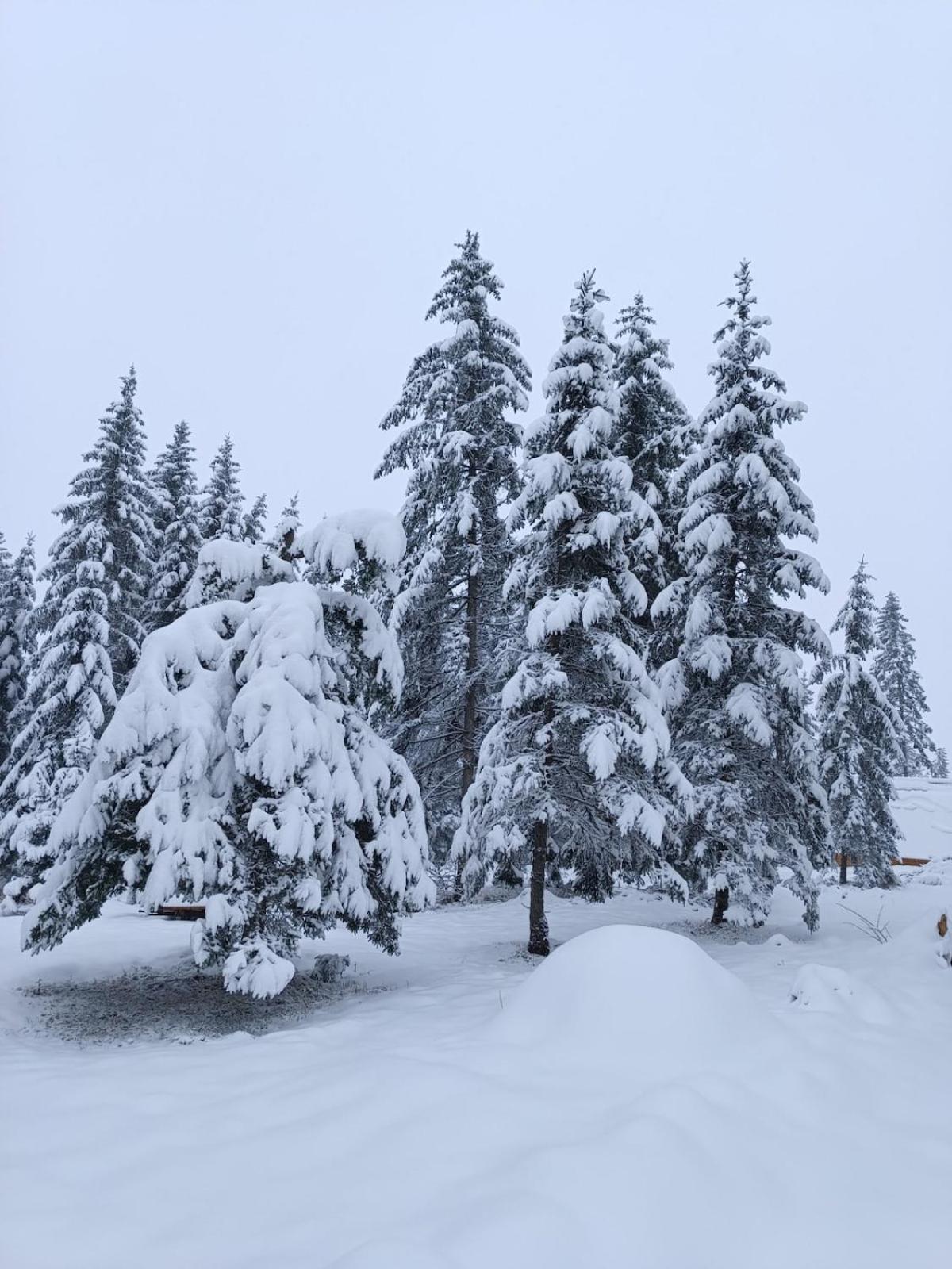 Chechar Zlatar Вилла *